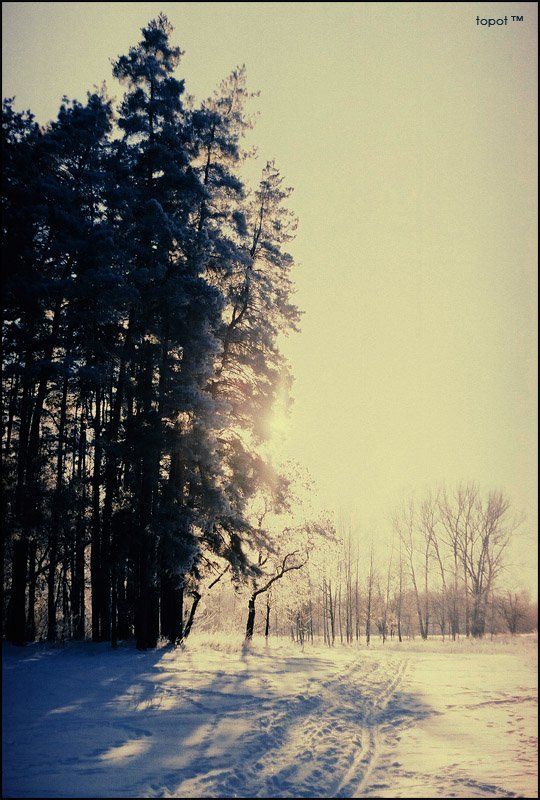 vovk, поворот фото превью