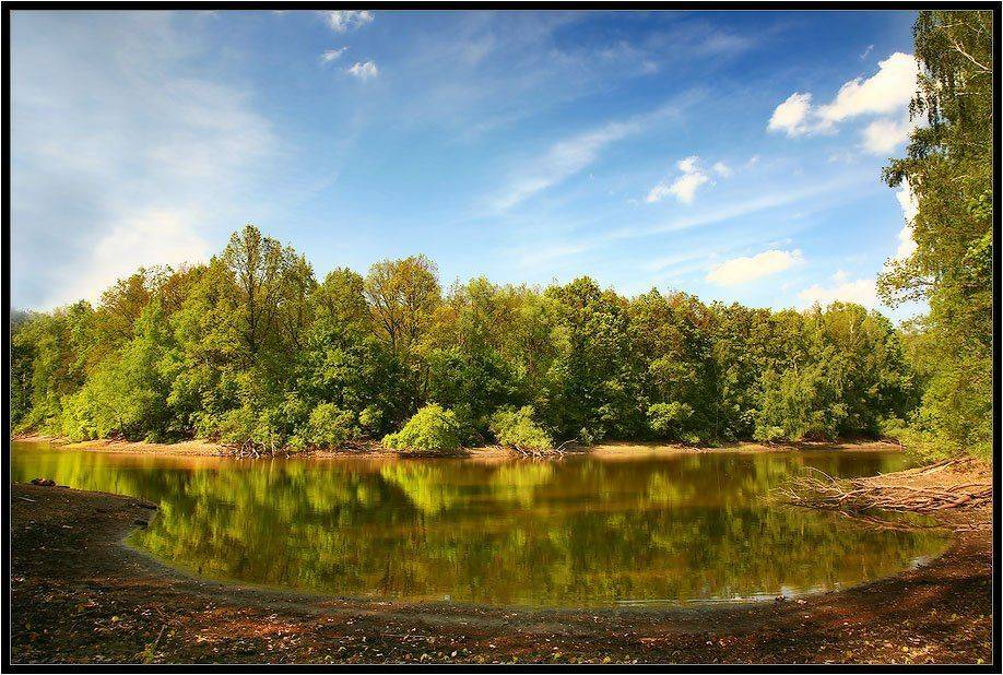 лето, Алексей Строганов