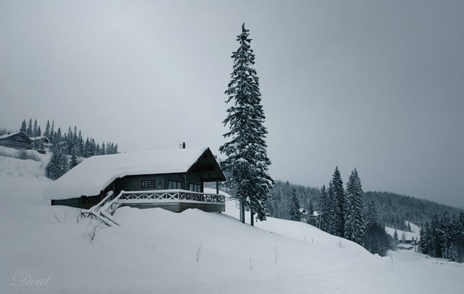 в белой тишине,  белый сон, швеция, воспоминания, оре, дом, зима, снег, минимализм, непогода, Darn Cat
