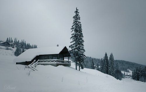 В белой тишине