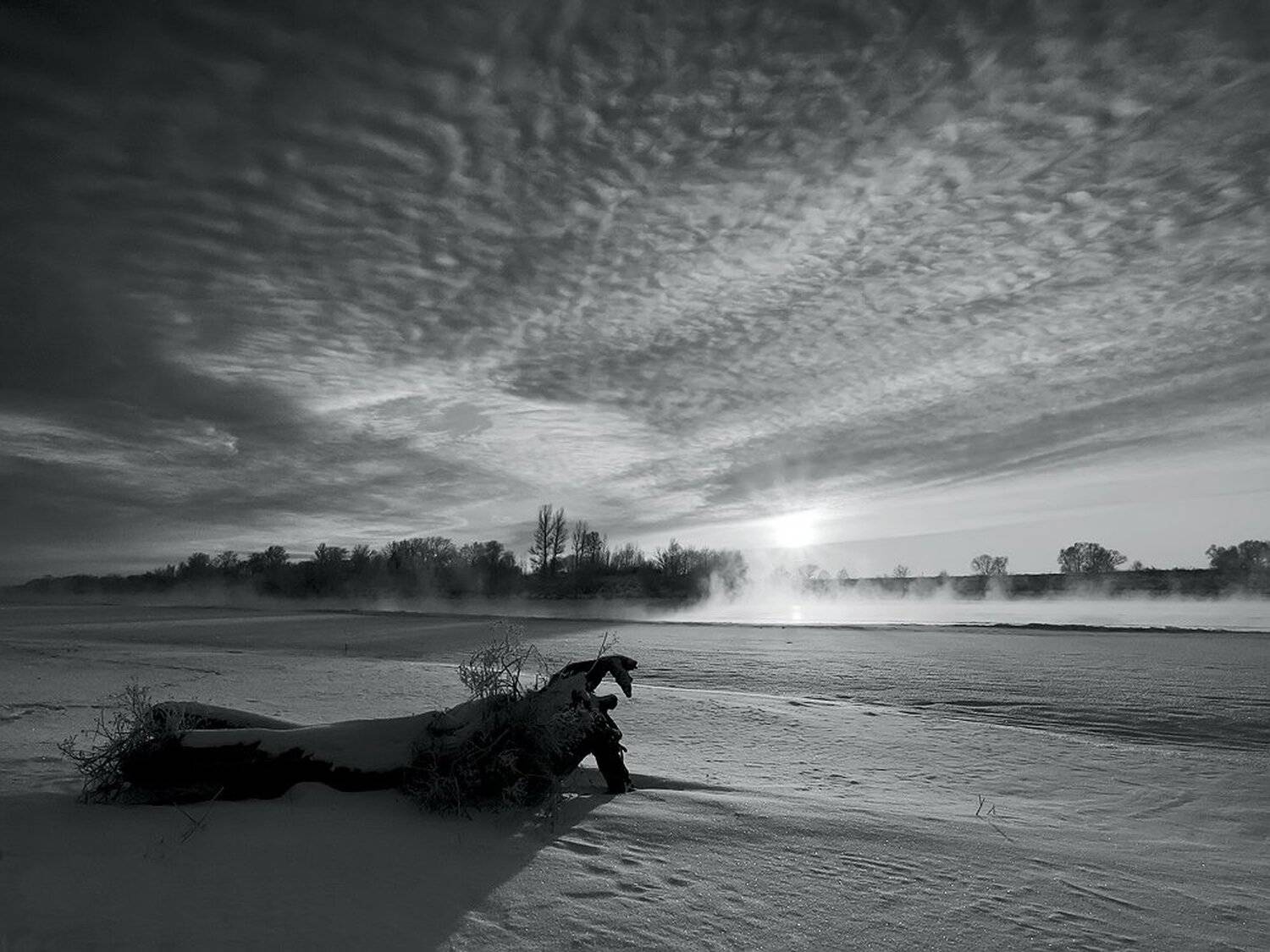 , Максим Евдокимов