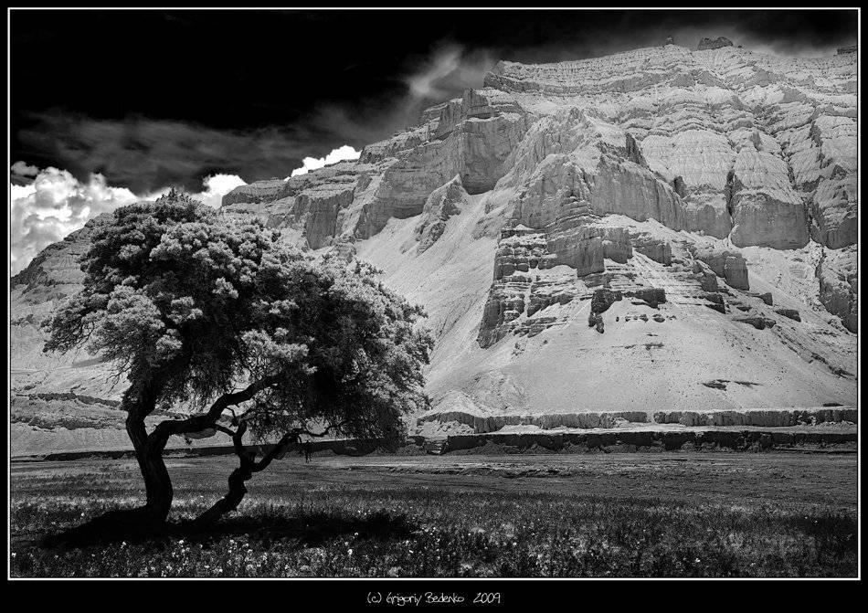 тибет, каньон, ту лин., Григорий Беденко