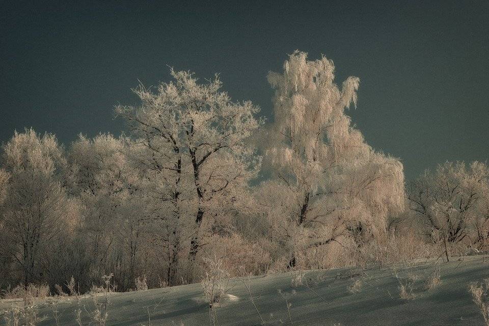 , Владимир Липецких
