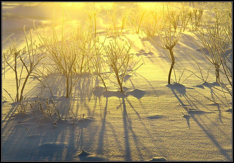 Зимняя зарисовка фото превью