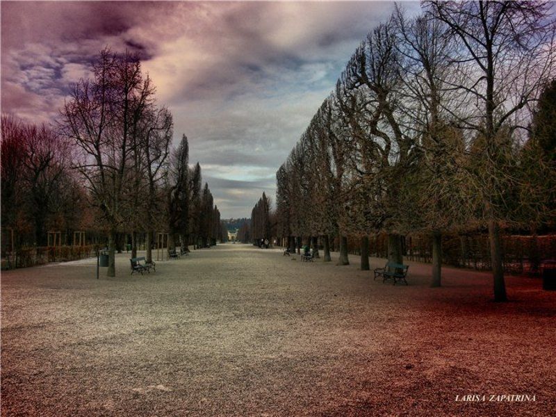Wien фото превью