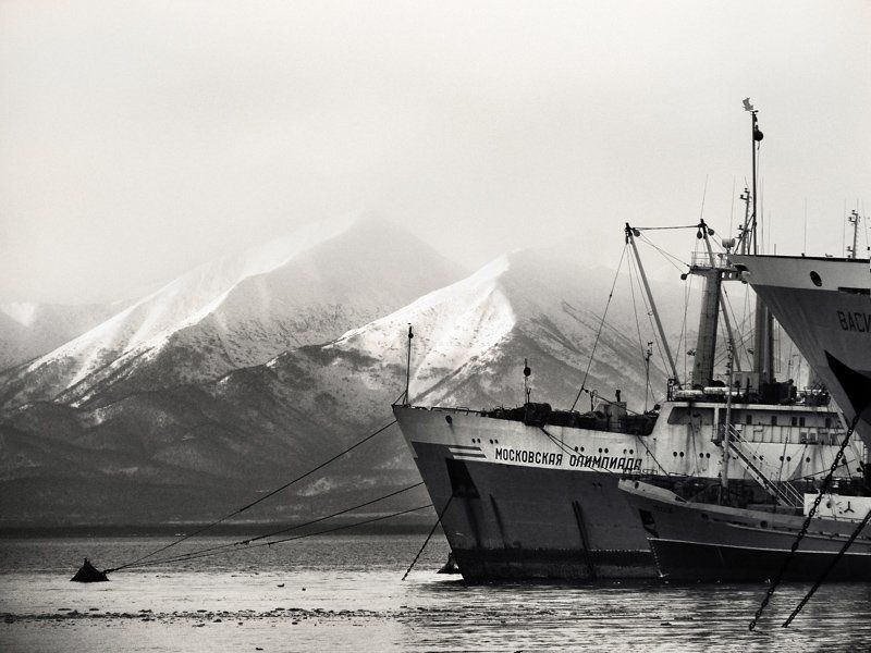 камчатка,гавань,судна,вода,сопки,туман  фото превью