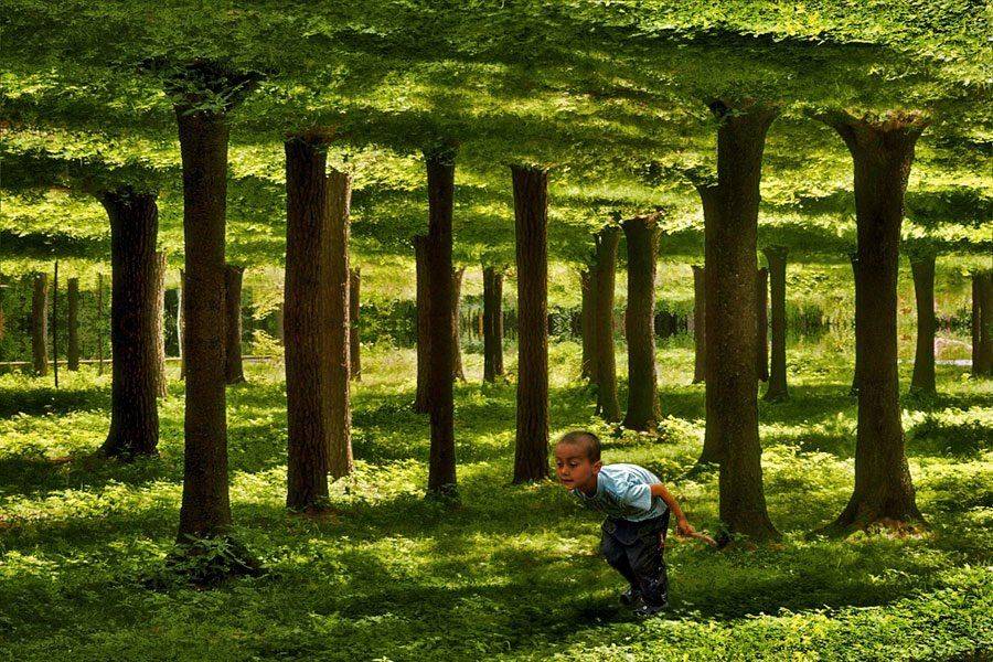 коллаж, летний сюрр, абстракция., senjor