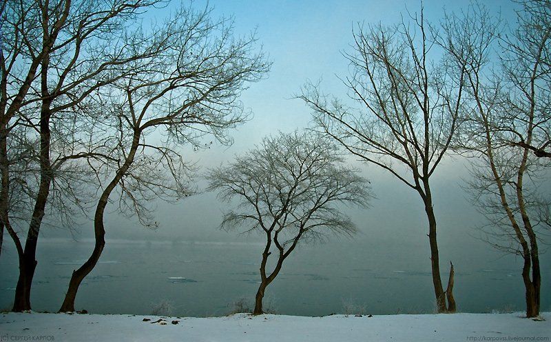 пейзаж, другой, деревья Другой фото превью