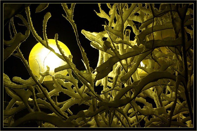 фонари,иней Ночные узоры фото превью