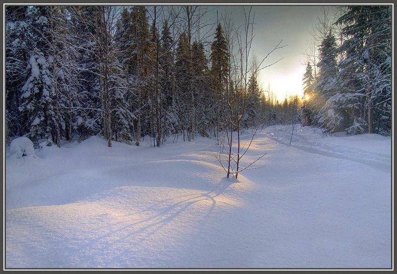 Где то там, на севере.. фото превью