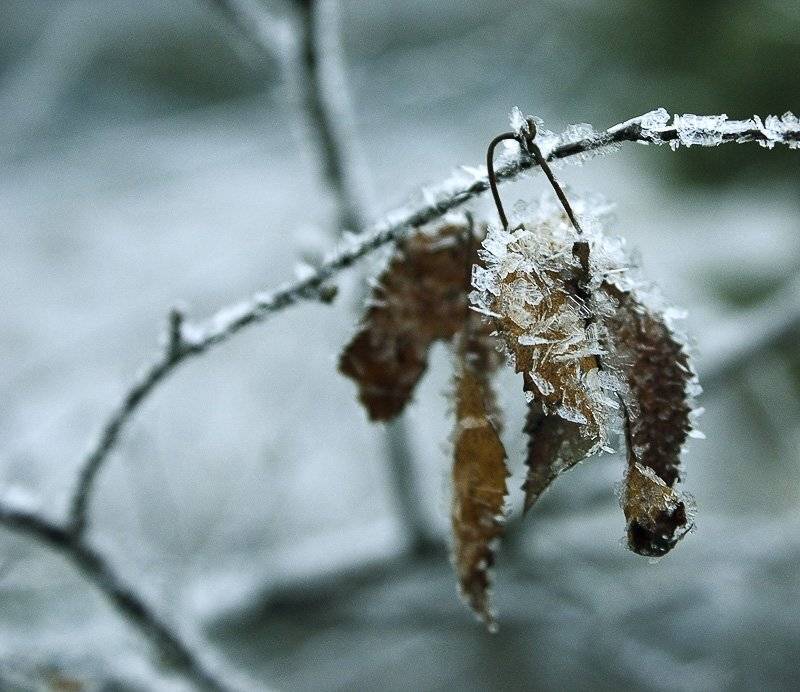 зима, лед, Юлия