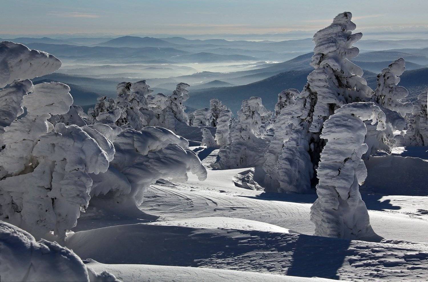 , Лихарев Александр