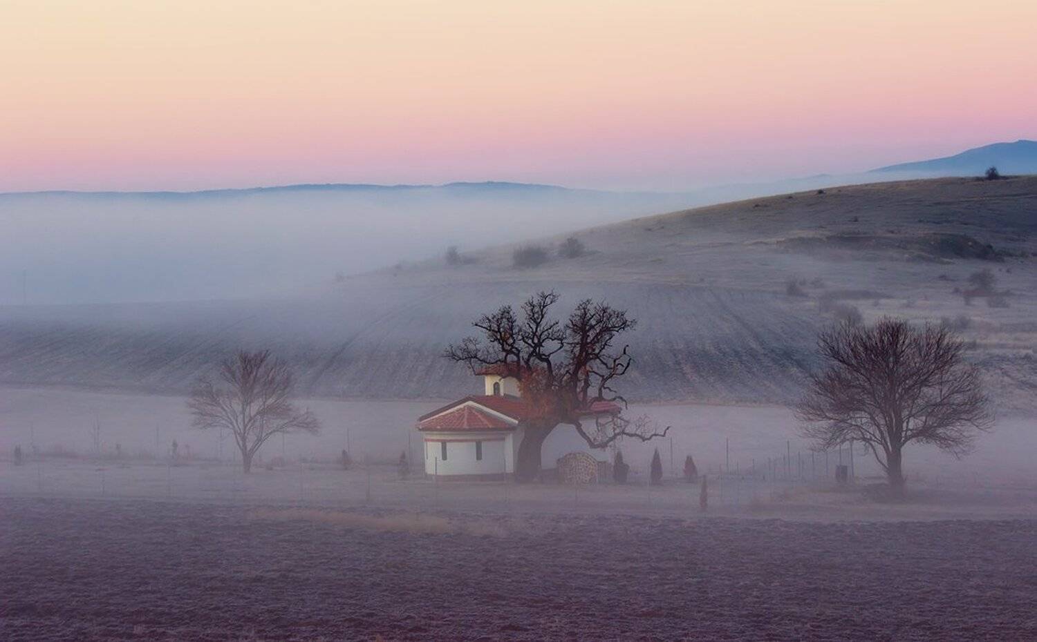 восход, туман, Ирина Костова