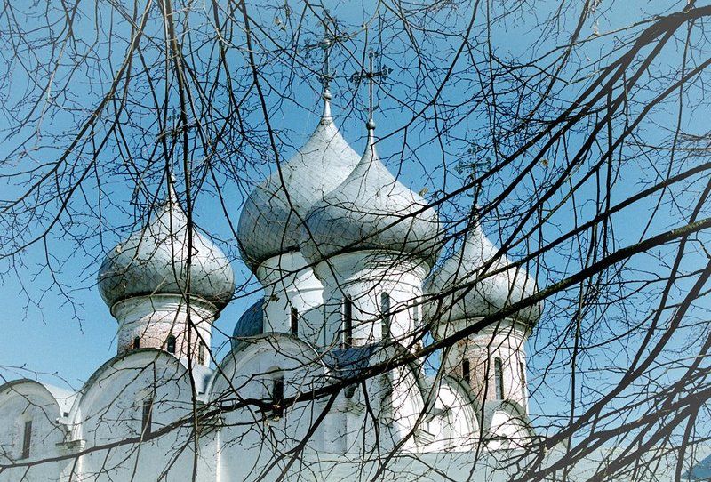 Вологодские картинки фото превью