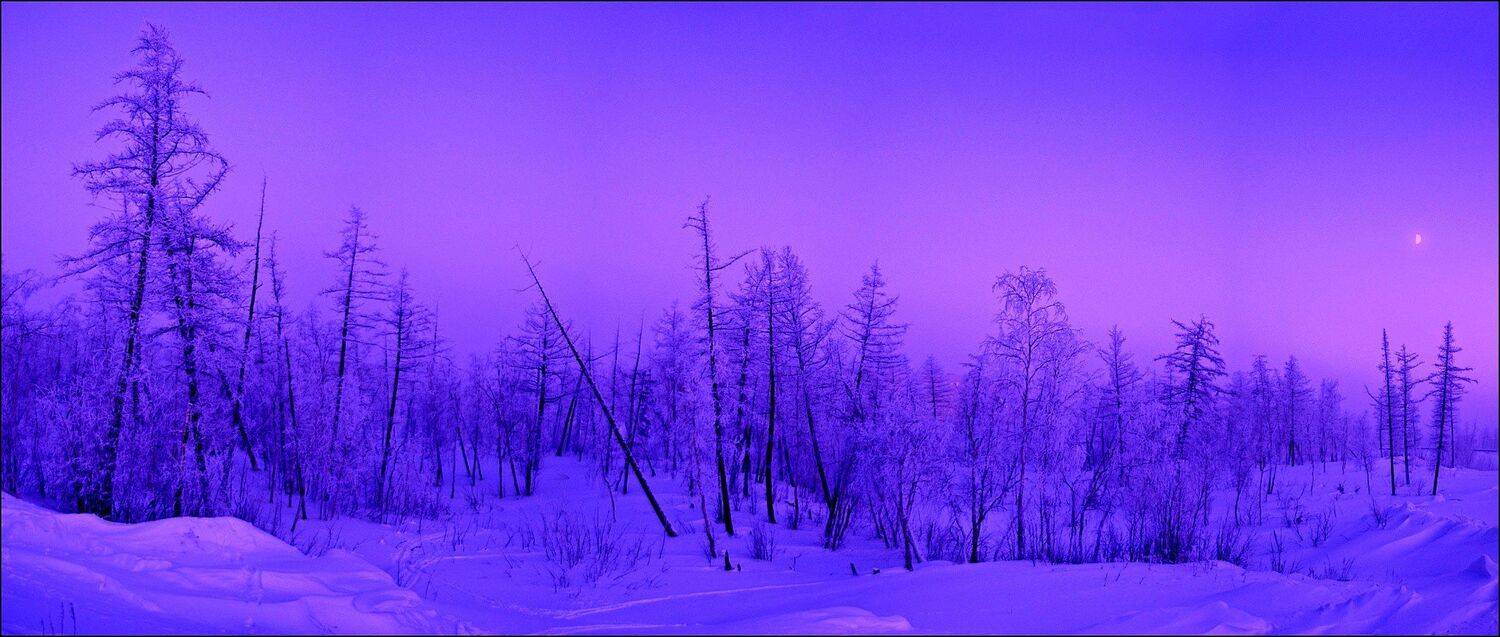 таймыр, Владимир