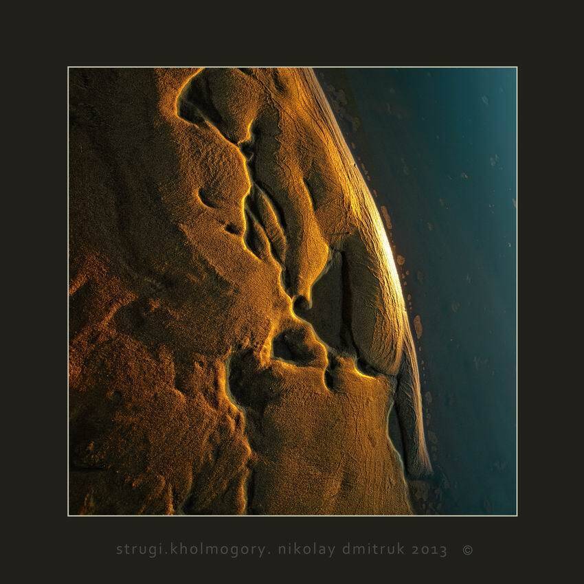 , николай дмитрук