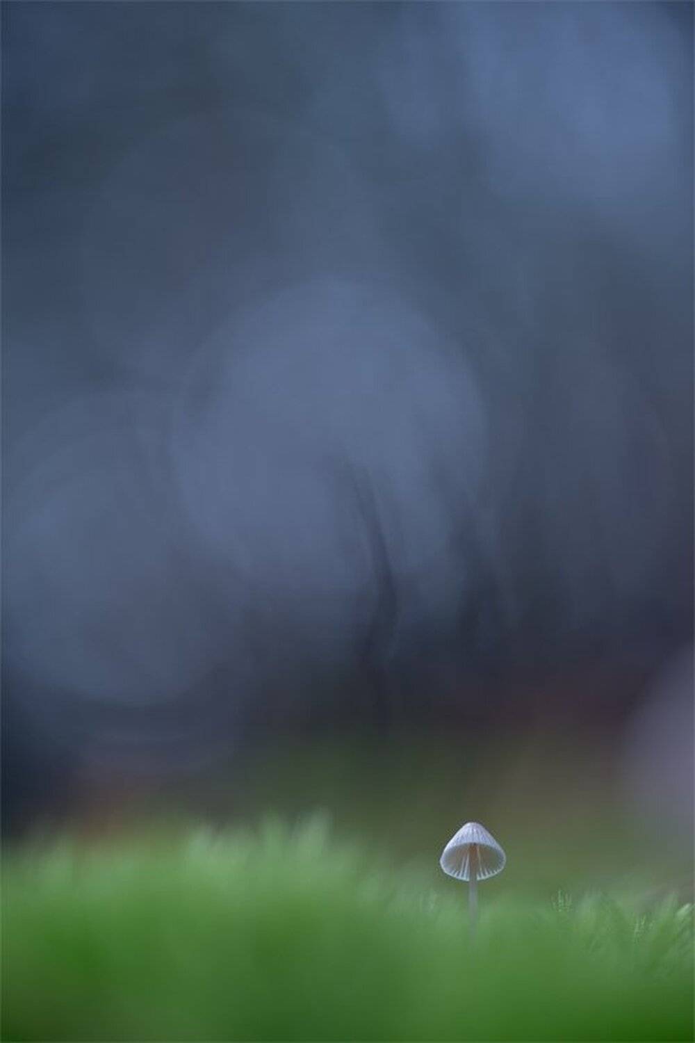 , Геннадий Мещеряков