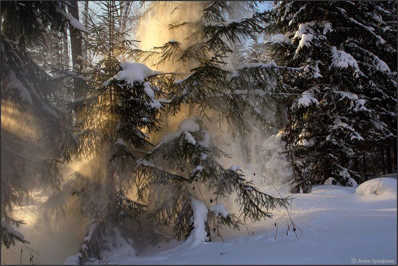 Сказки зимнего леса фото превью