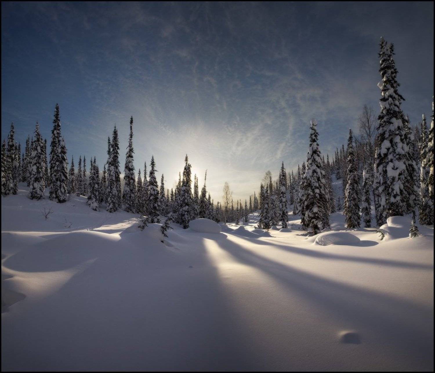 Зима, Кузнецкий Алатау, Пихты, Тени, Утро, Ярославский Виталий, Виталий из Н-ска