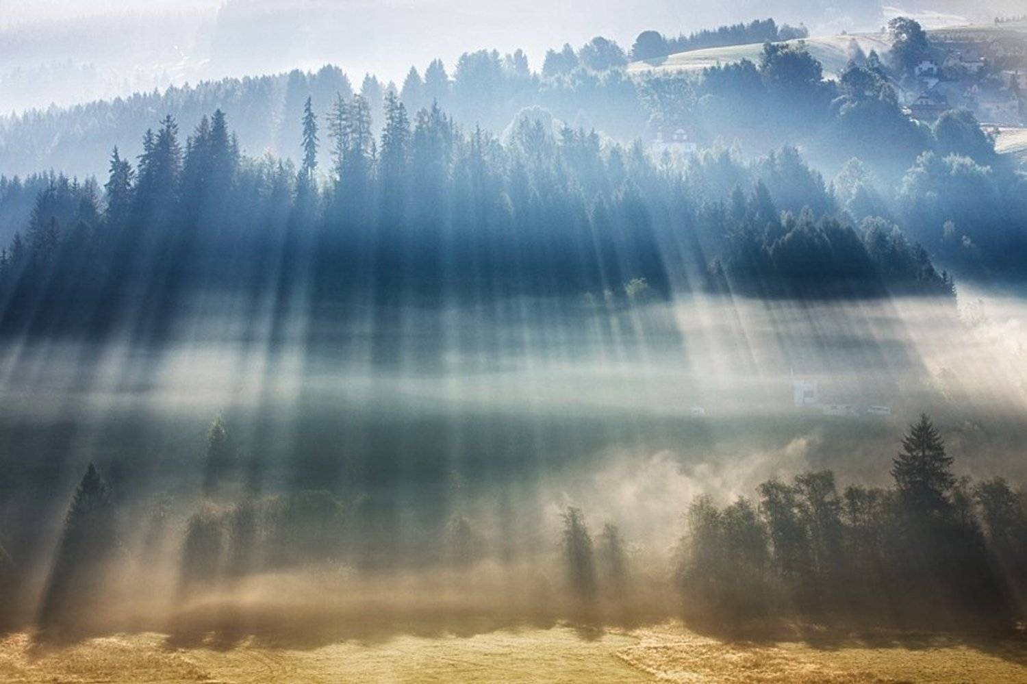Fog, Light, Boguslaw Strempel