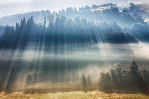 Magical light ...