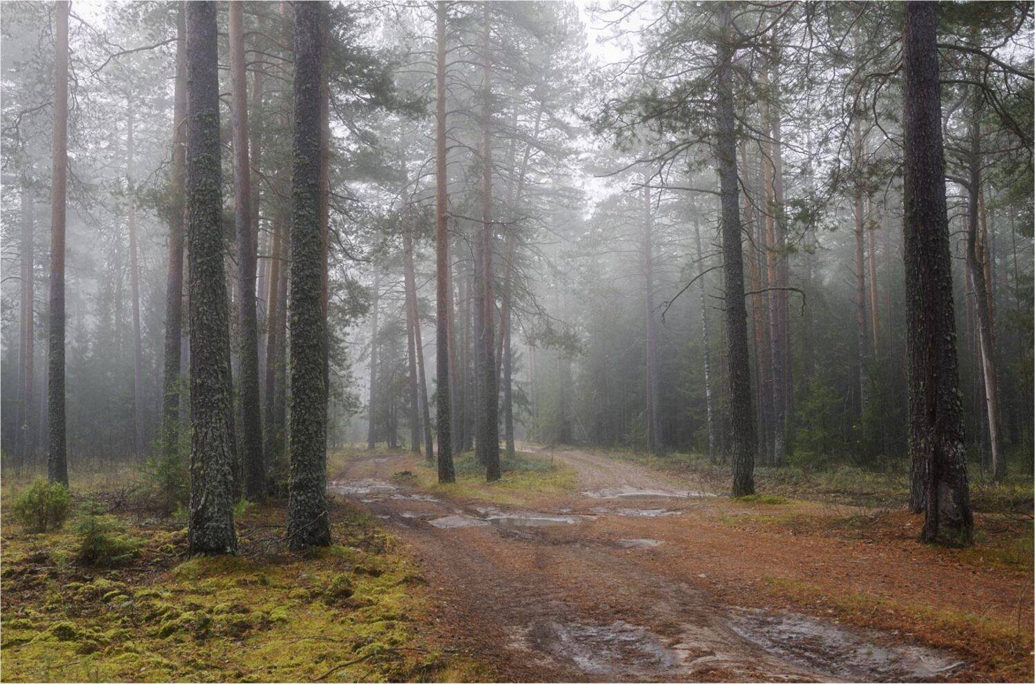 , Анатолий Гулин