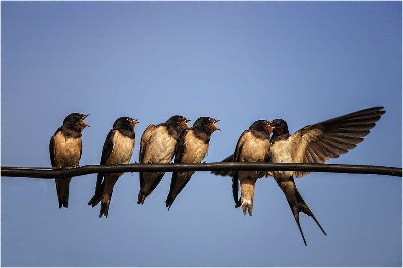 Этому дала! фото превью