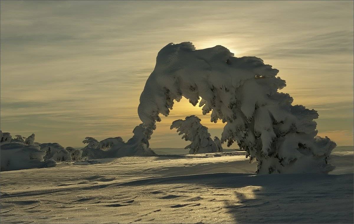 , Александр Гусаков