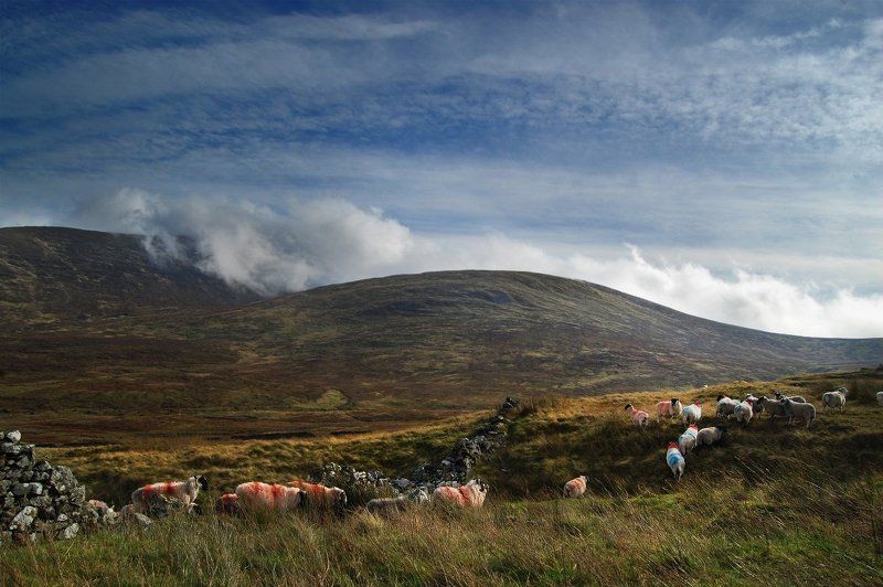 High Fashion фото превью