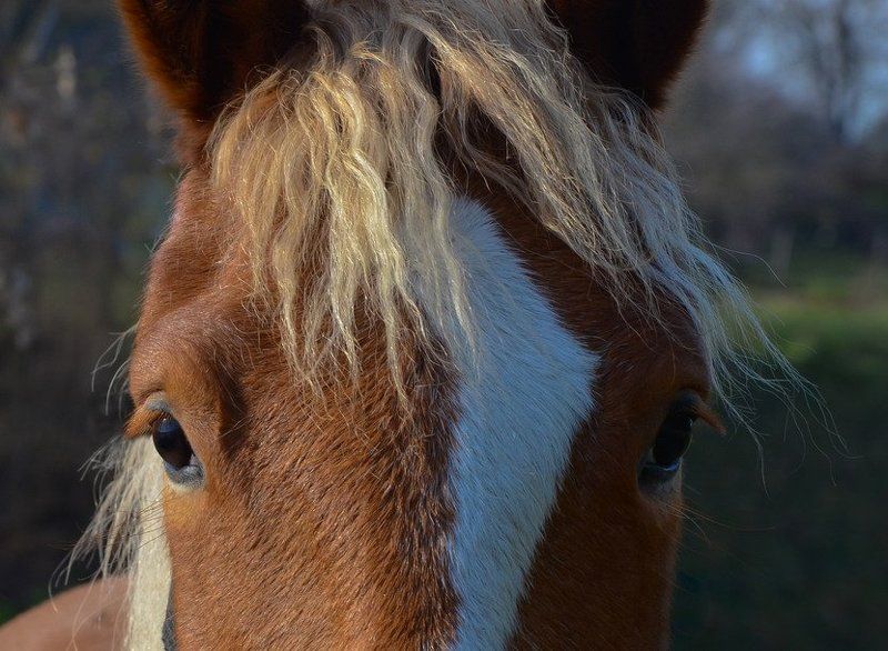 Блондинка фото превью