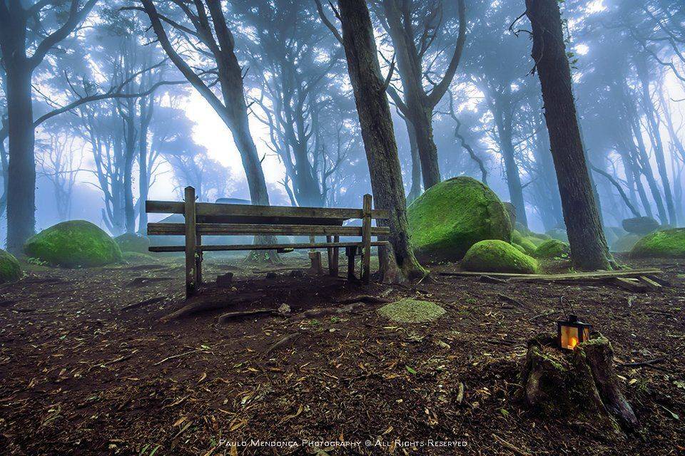 , Paulo Mendon&ccedil;a