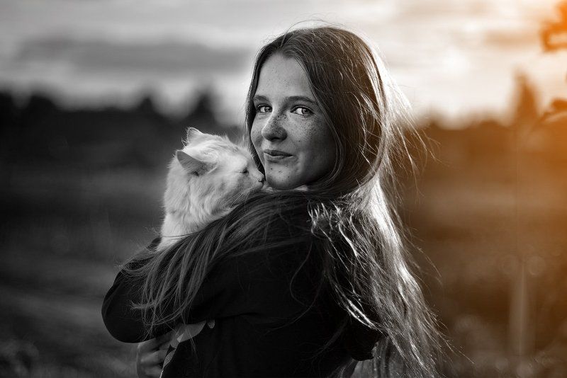 Вечер, Девушка, Закат, Кот, Россия Сенокос фото превью