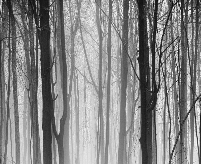 ... фото превью