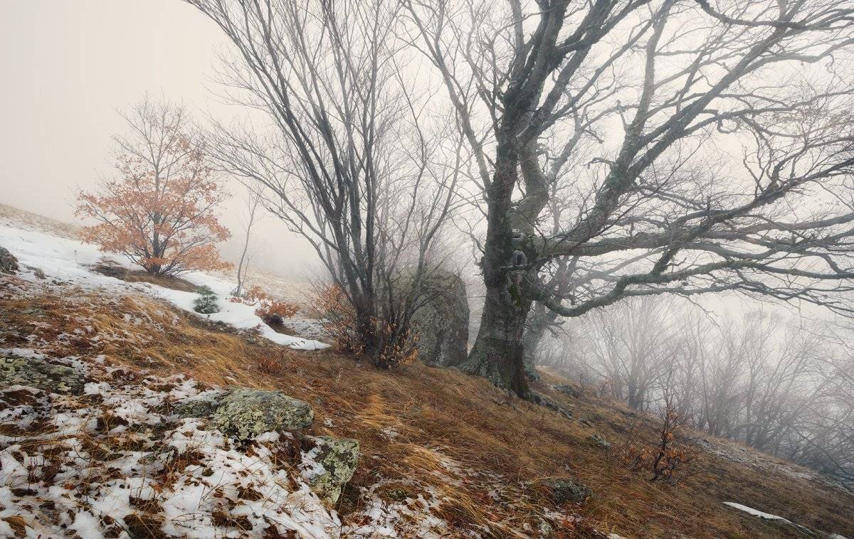 , Денис Сорокин