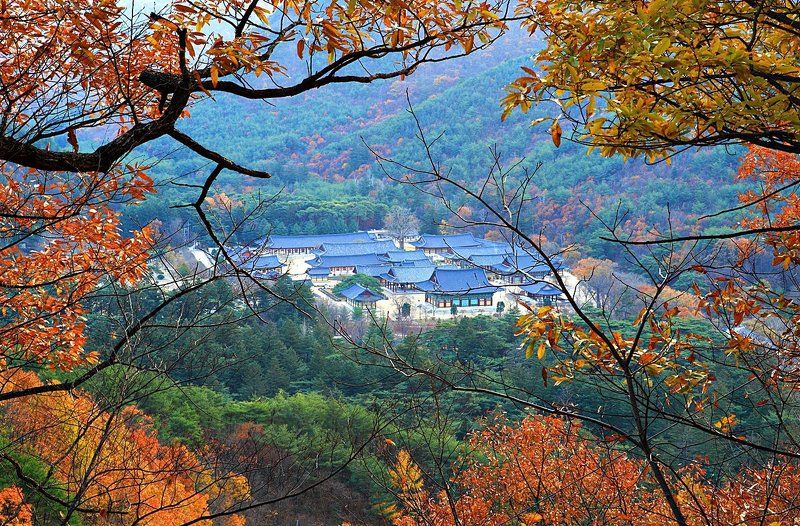 The autumn in Temple Unmun фото превью