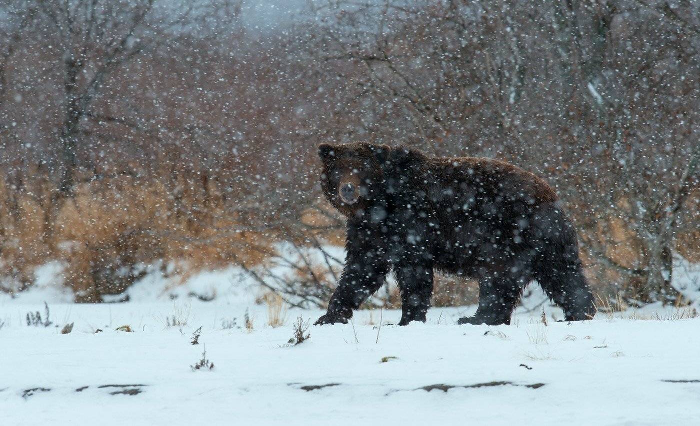 , Сергей Иванов