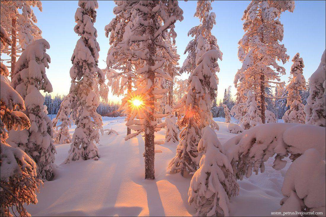 , Антон Петрусь