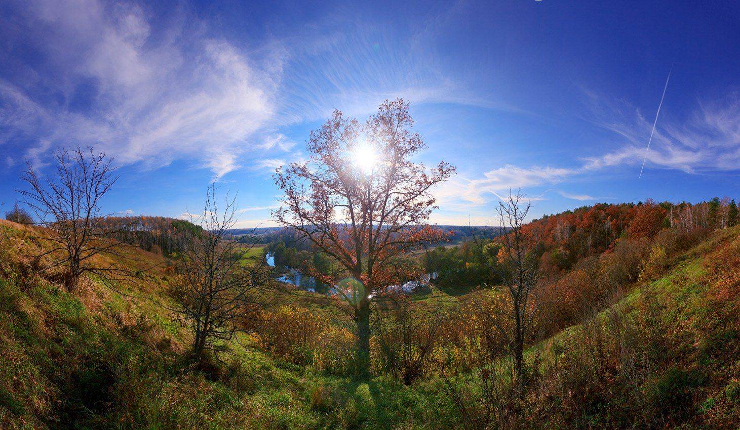 , Алексей Горохов