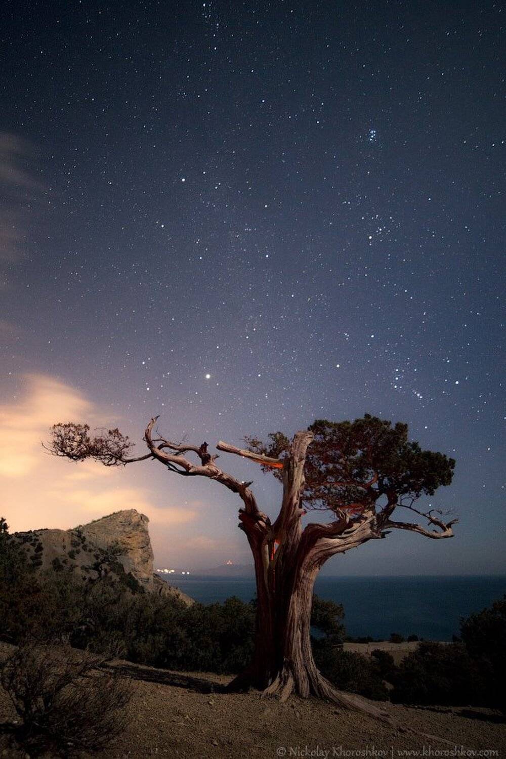 , Николай Хорошков