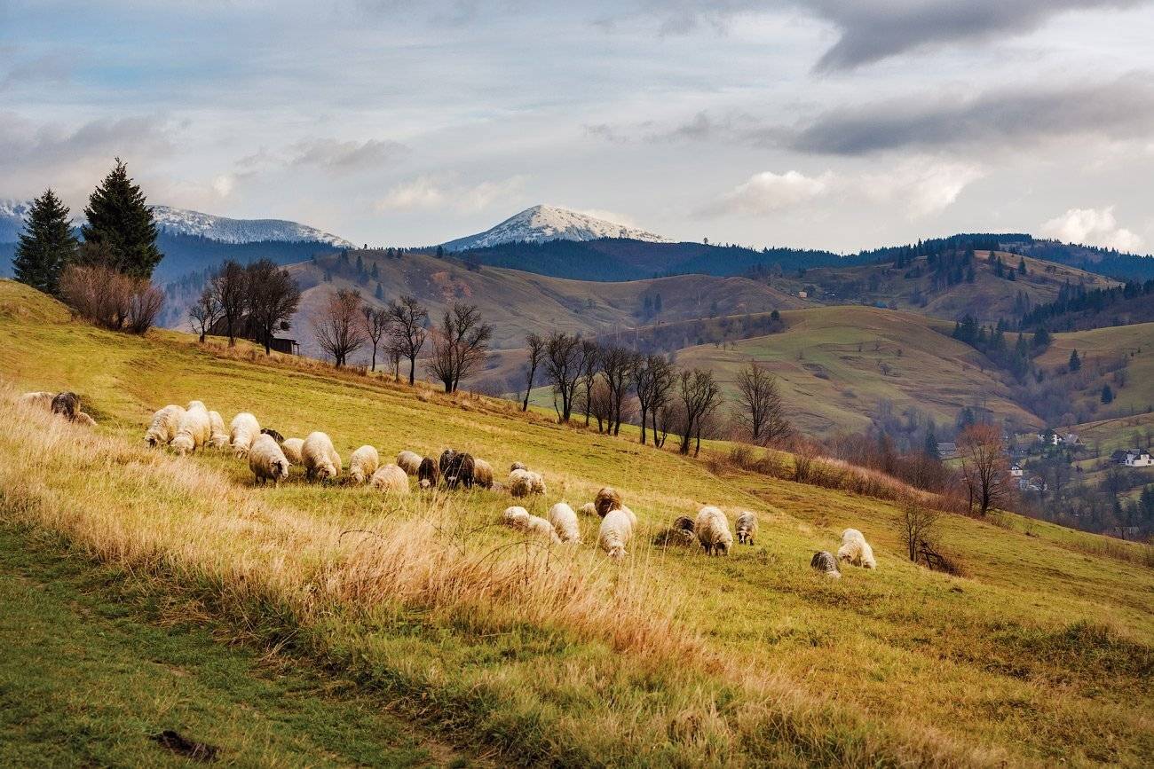 , Игорь Иванов