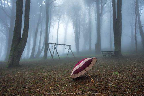 The silence of the mist