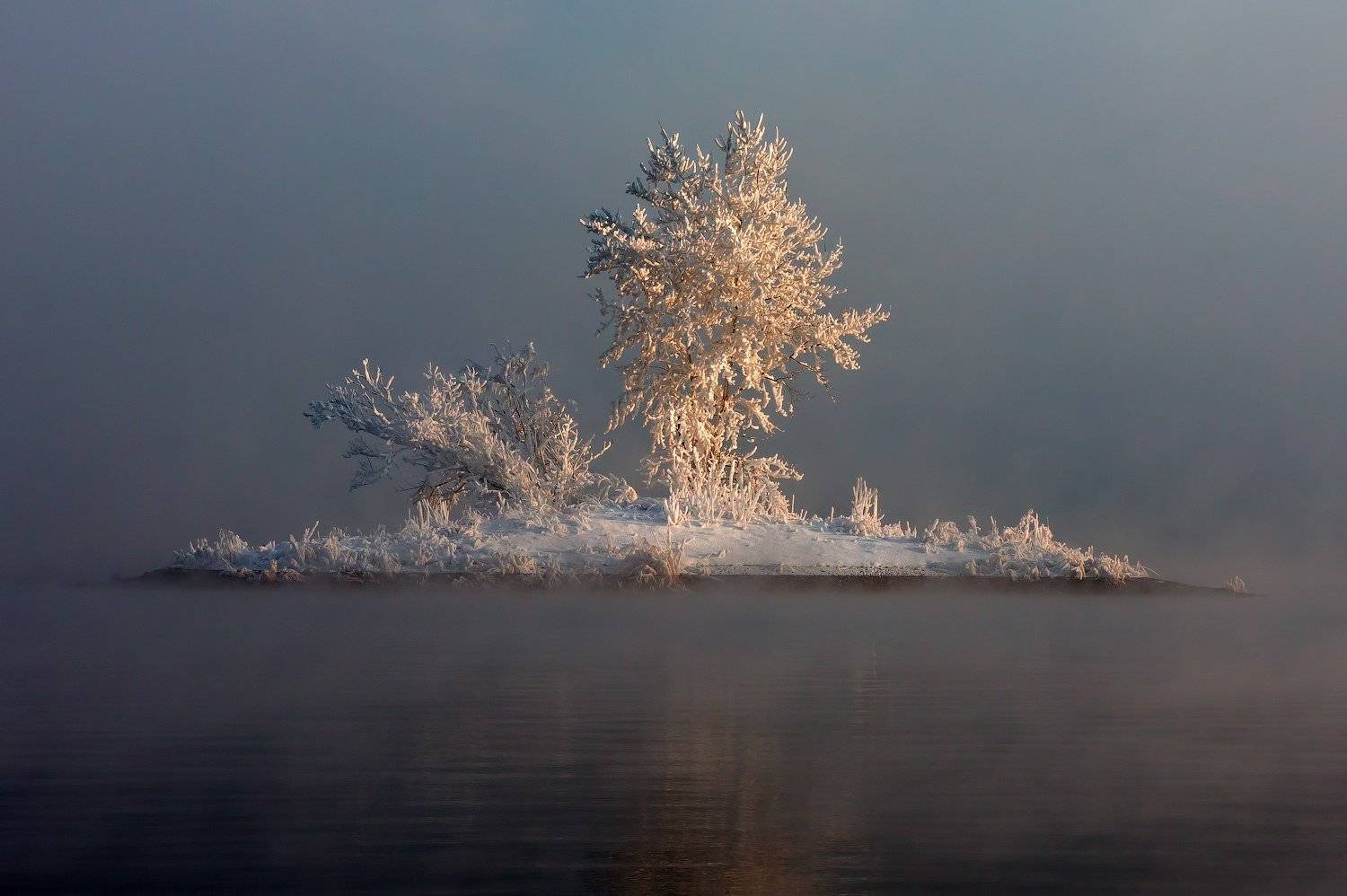 , Криволуцкий Игорь