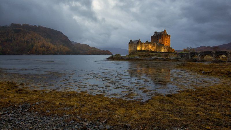 золото норвегии #9 фото превью