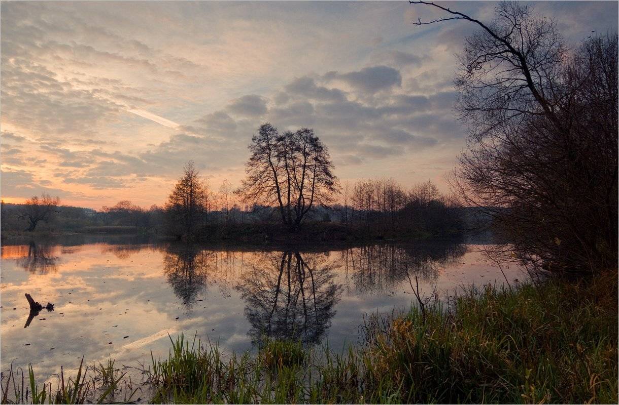 , Николай Шахманцир