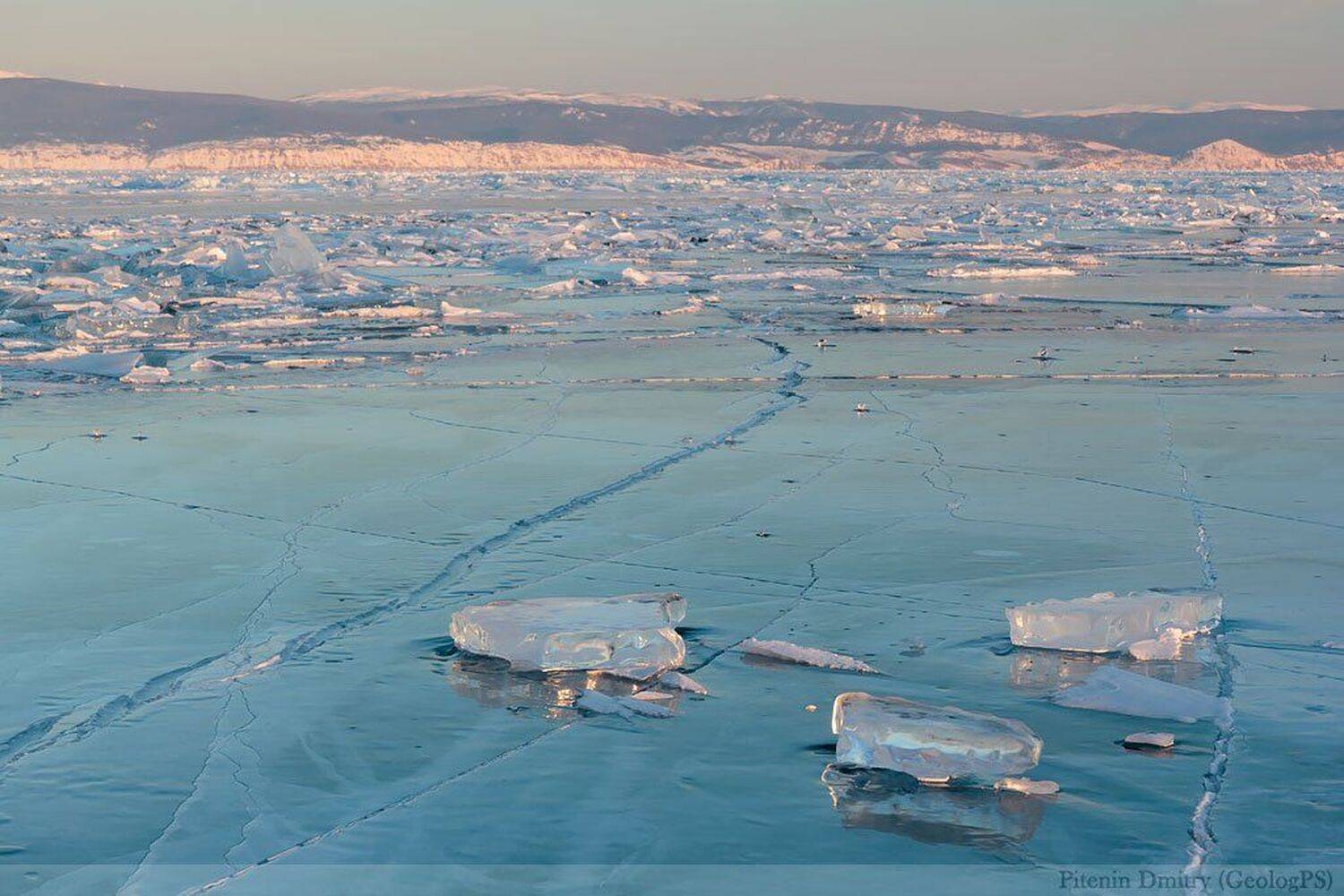 , Питенин Дмитрий