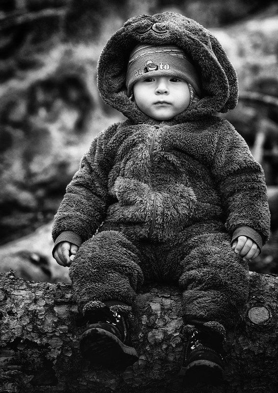 Медведь в лесу :) фото превью