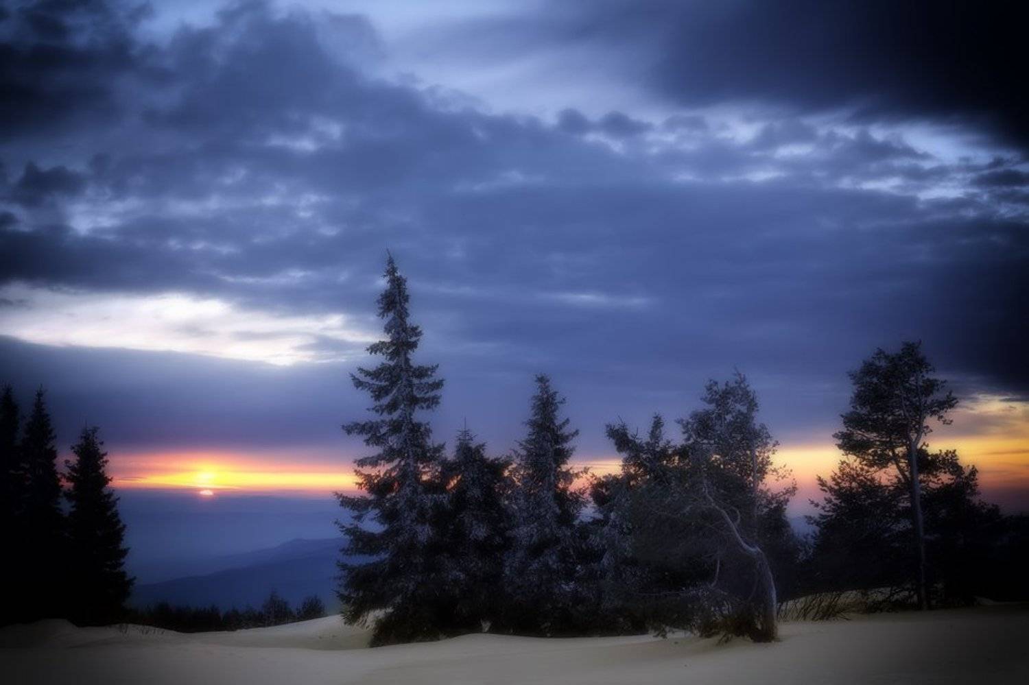 , Момчил Великов