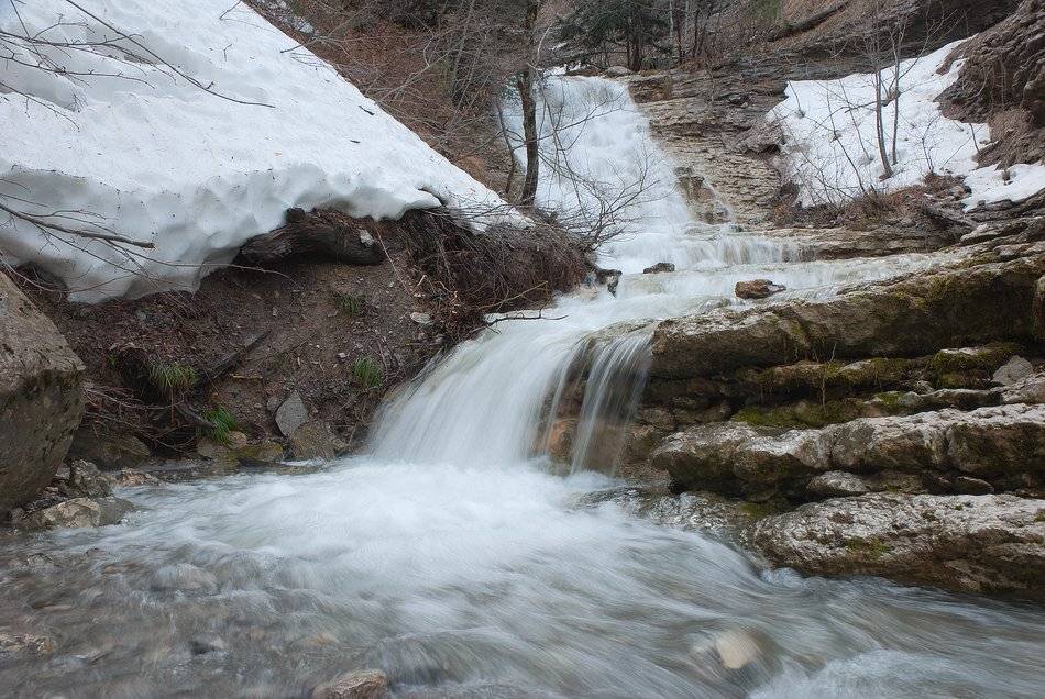 , Саша  Вайсберг / Waldschnepfe./