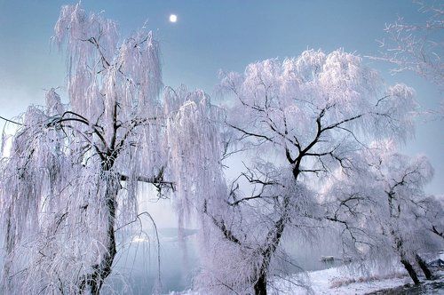 Winter dawn