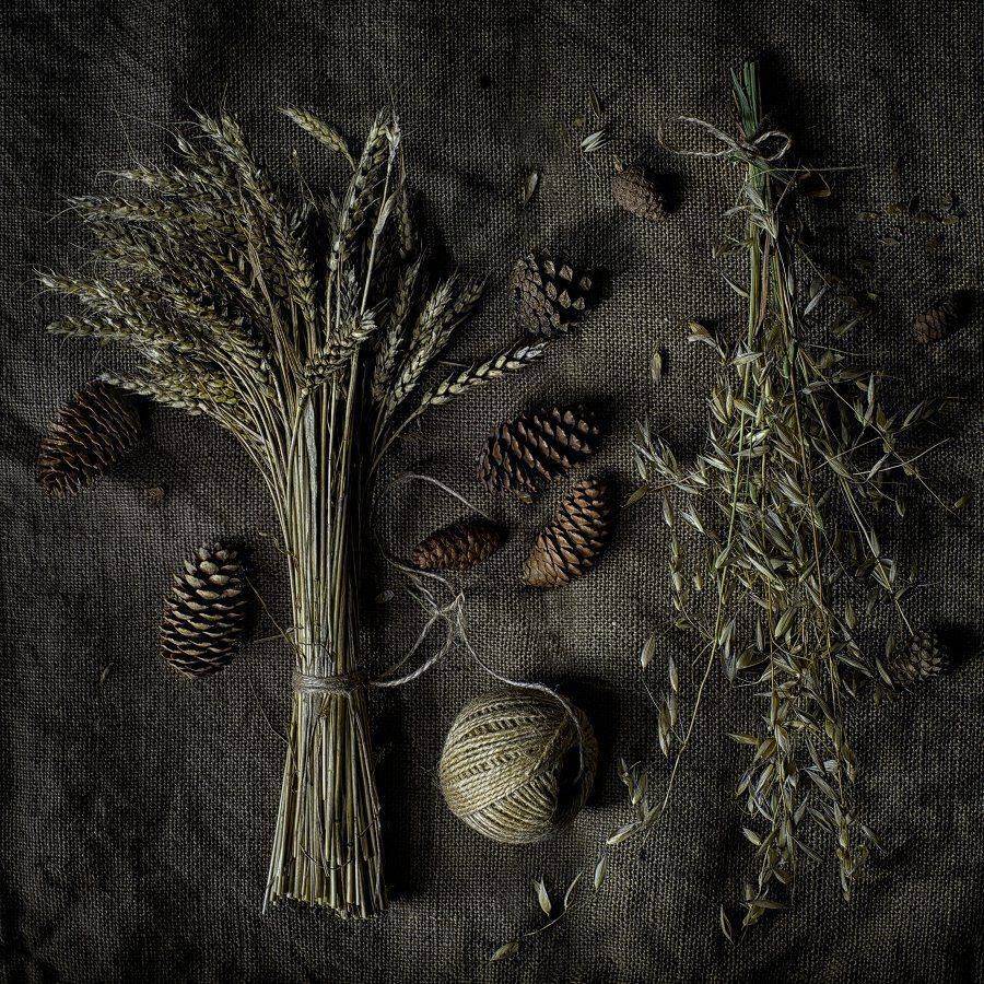 , Николай Ляпин